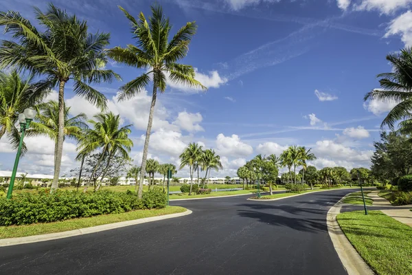 Gated community road and condominiums