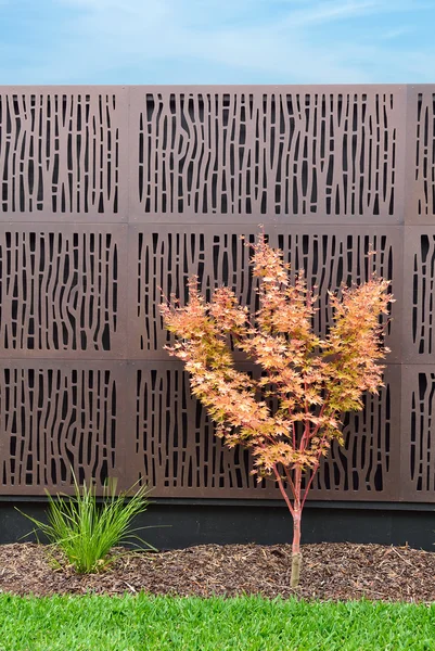 Idee per il giardino piante in vagone — foto stock © kav777 ... Piante disegno Giardino