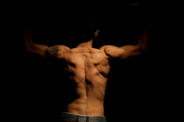 The back of athletic body