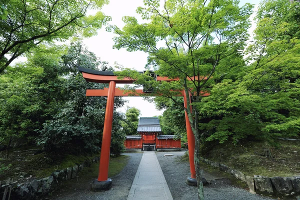 Japanese Temple with Japanese red Gate and green maple leaves in