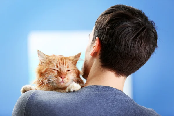 Fluffy red cat sitting on a man\'s shoulder