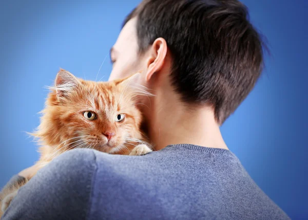 Fluffy red cat sitting on a man\'s shoulder