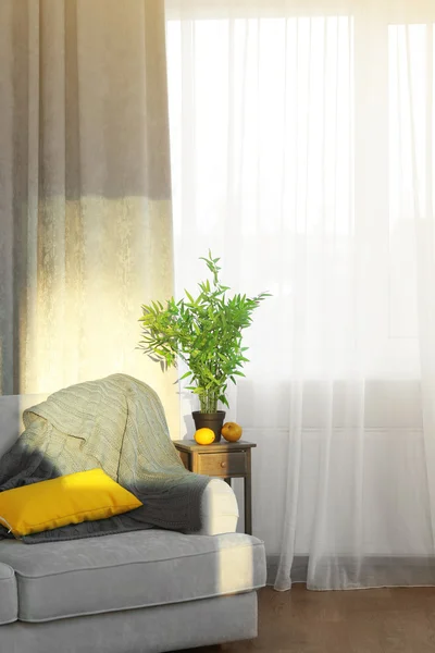 Grey sofa and small table with green plant on curtain background