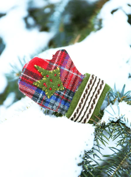 Little mitten on a snowy fir tree branch