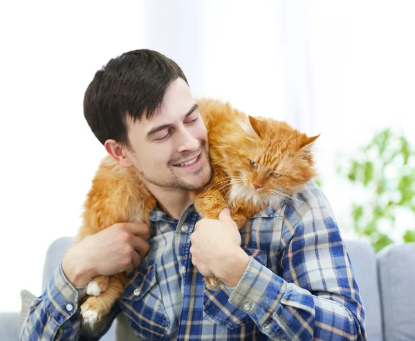Red cat sitting on a man\'s shoulder