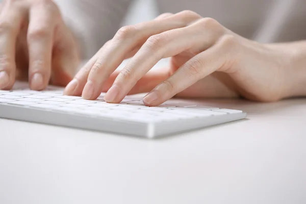 Female hands using keyboard
