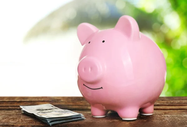 Piggy bank style money box