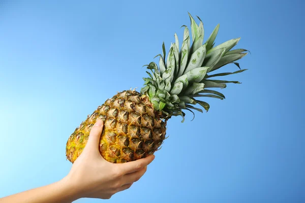 Female hand holding ripe pineapple