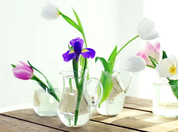 White, pink tulips and purple iris in glass vases with water on wooden table beside the window