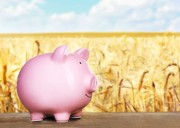 Piggy bank on wooden table