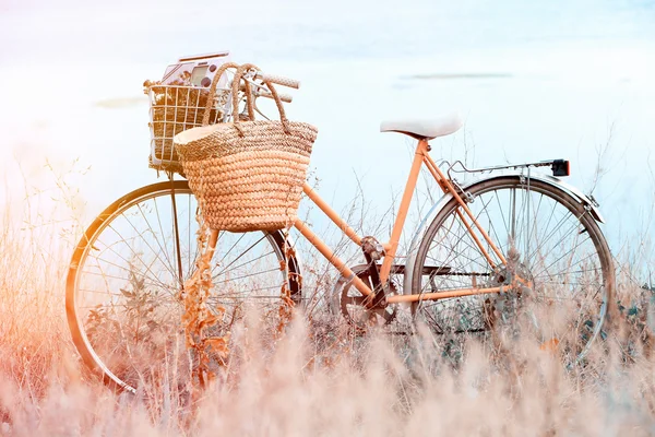 Bicycle with basket of flowers in meadow