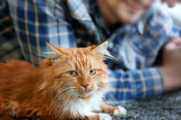 Young man with fluffy cat