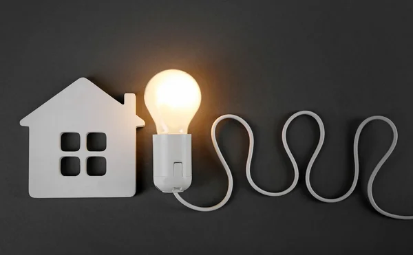 Electric bulb and house