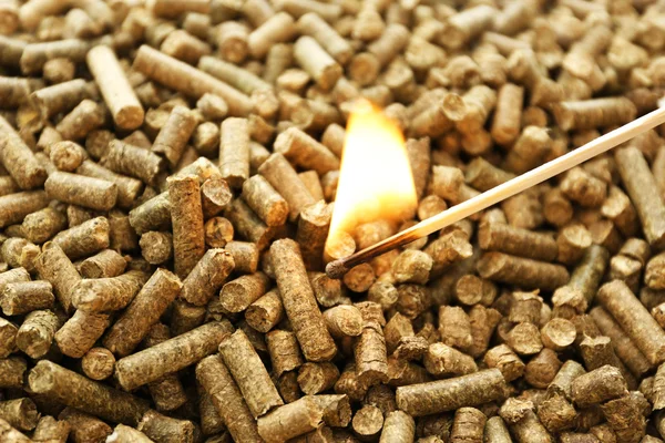 Burning match on solid pellets