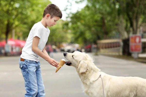 Boy feeding ice-cream cute dog