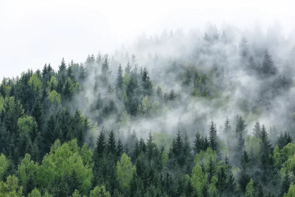 View of foggy mountains