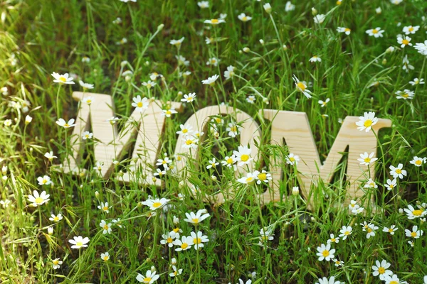 Word MOM made of wooden letters