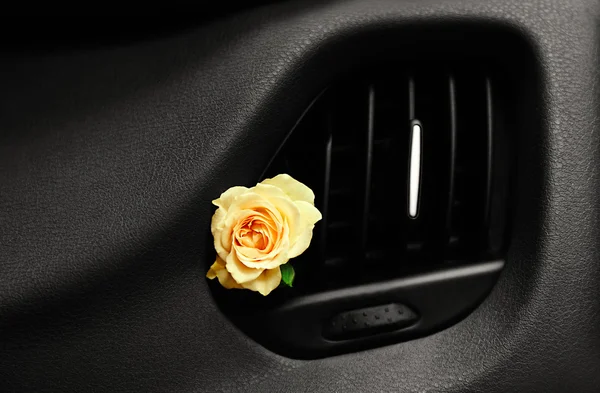 Rose in car air conditioner