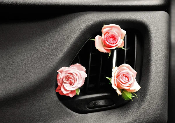 Roses in car air conditioner