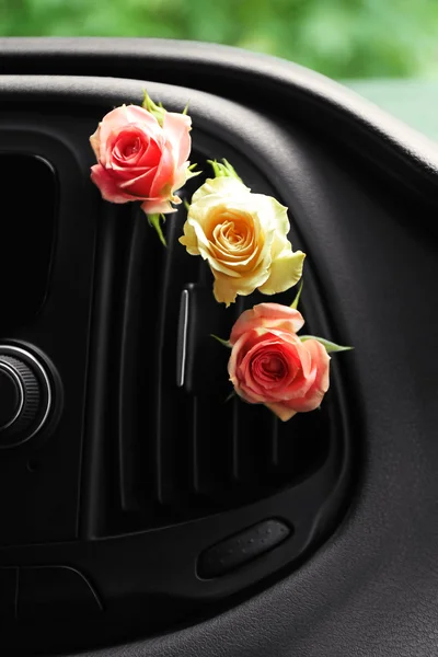 Roses in car air conditioner