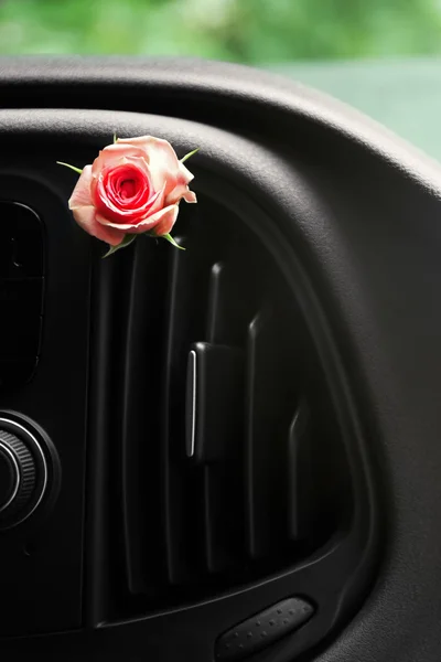 Rose in car air conditioner