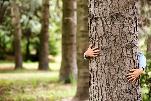 Woman hugging a big tree