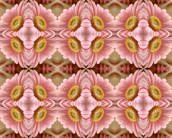 Flowers mirror pattern