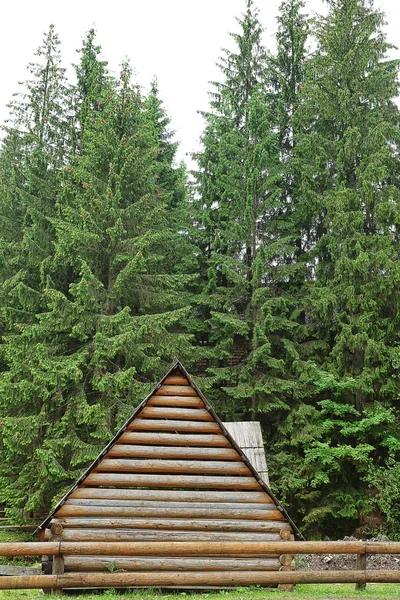 Wooden house in mountain forest