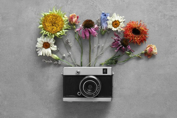 Beautiful composition of vintage camera