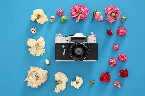 Vintage camera and colourful flowers on blue background