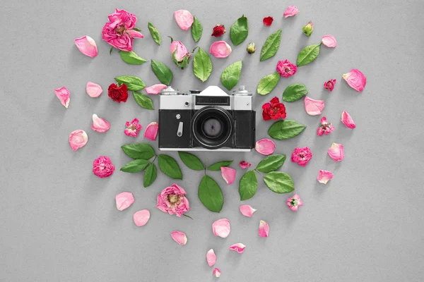 Vintage camera and colourful flowers on grey background