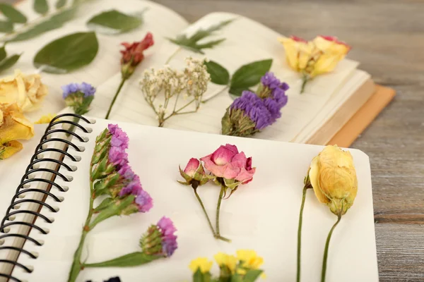 Dry up plants on notebook on table close up