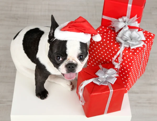 French bulldog with Santa hat and presents on sofa in room