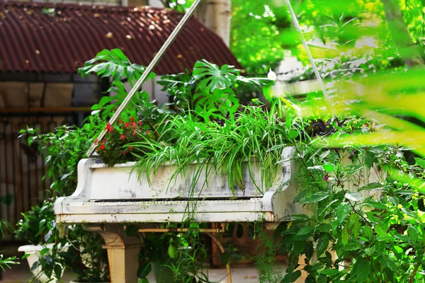 Piano in garden