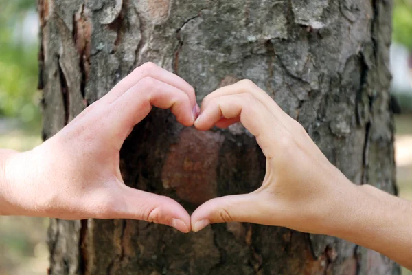 Close-up of human hands making heart shape in front of tree