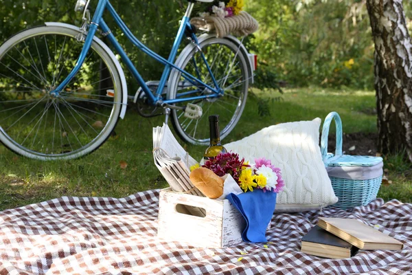 Old bicycle and picnic snack