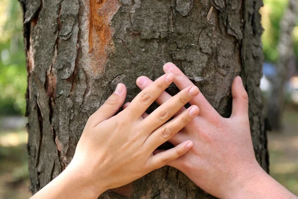 Persons hugging tree