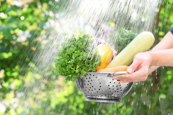 Washing vegetables, outdoors