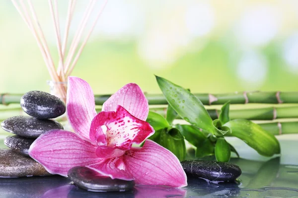 Spa stones, bamboo branches