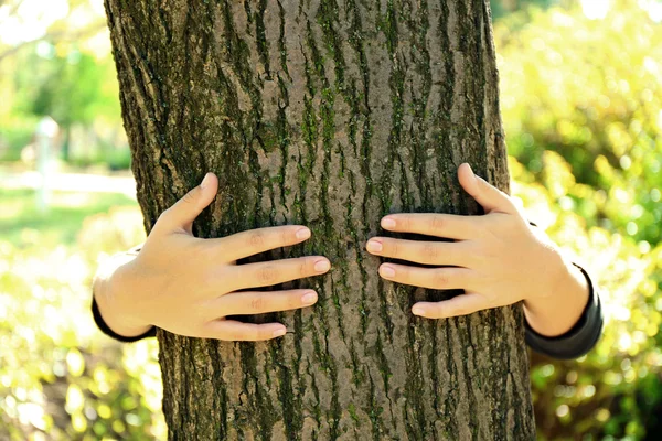 Person hugs trunk large tree, close-up