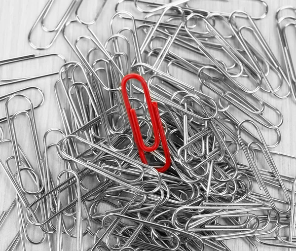 Individuality concept. Paper clips close up