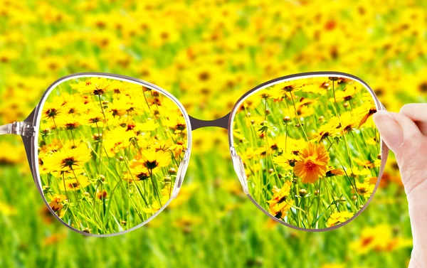 Vision concept. Glasses in hand on wild flowers background