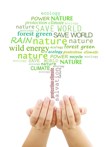Concept of environmental protection, words in tree shape in hands isolated on white