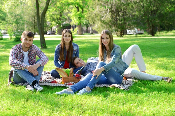 Happy friends on picnic in park