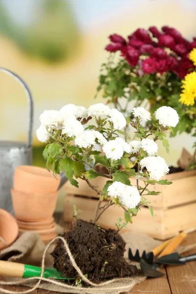 Rustic table with flowers