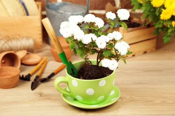 Flowers in pot and potting soil