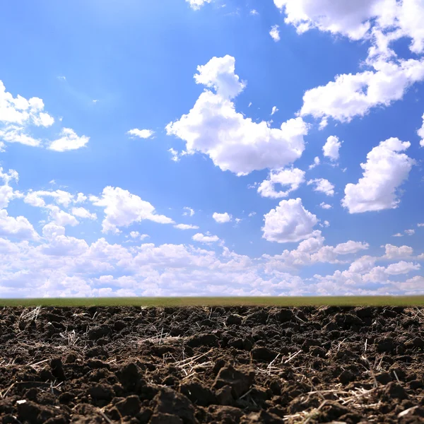 Springtime, conceptual image. Soil on sky background