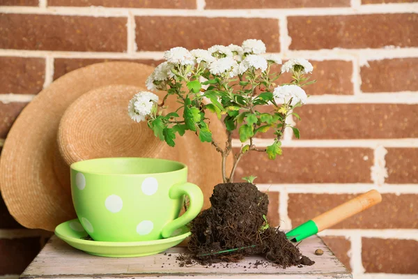 Flowers in wooden box, pots and garden tools on bricks background. Planting flowers concept