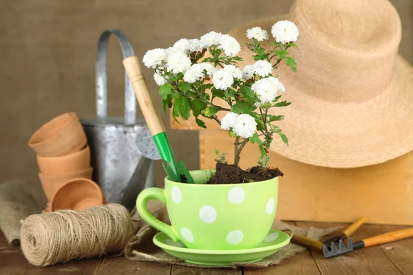 Rustic table with flowers, pots, potting soil, watering can and plants on sackcloth background. Planting flowers concept