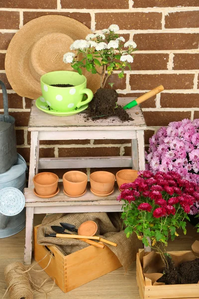 Flowers in wooden box, pots and garden tools on bricks background. Planting flowers concept